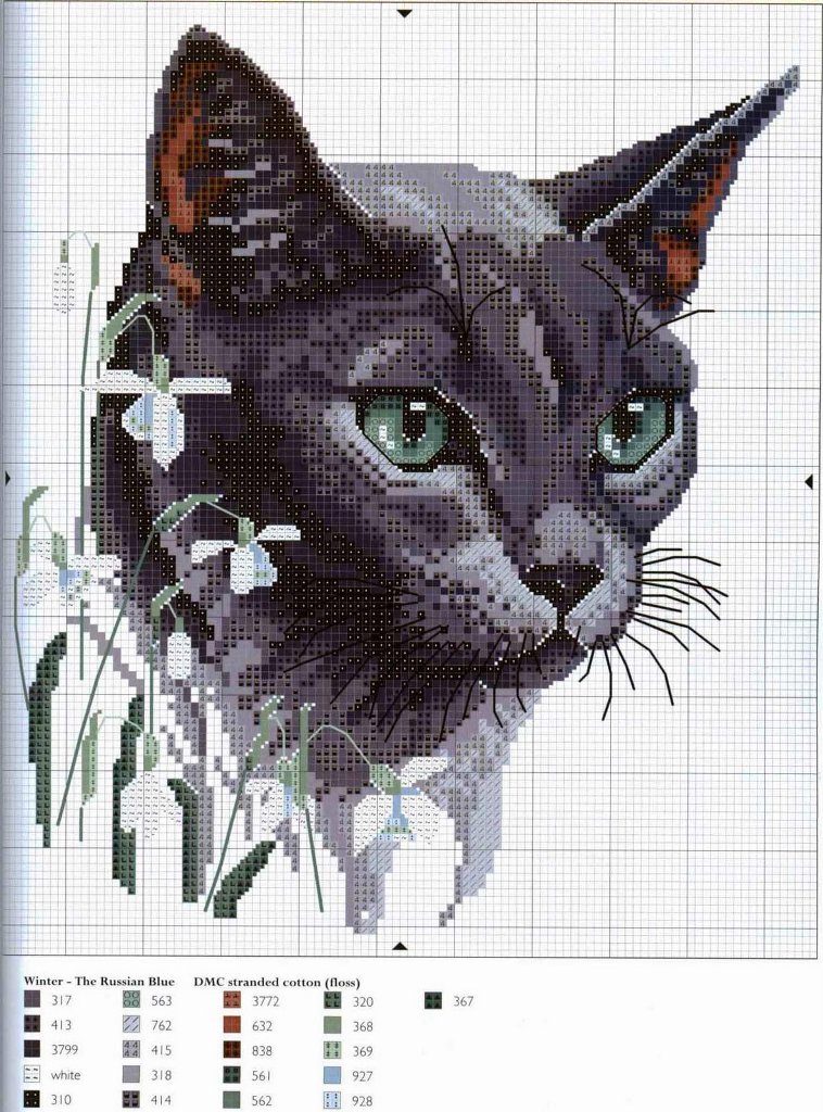 Schema punto croce Gato gris